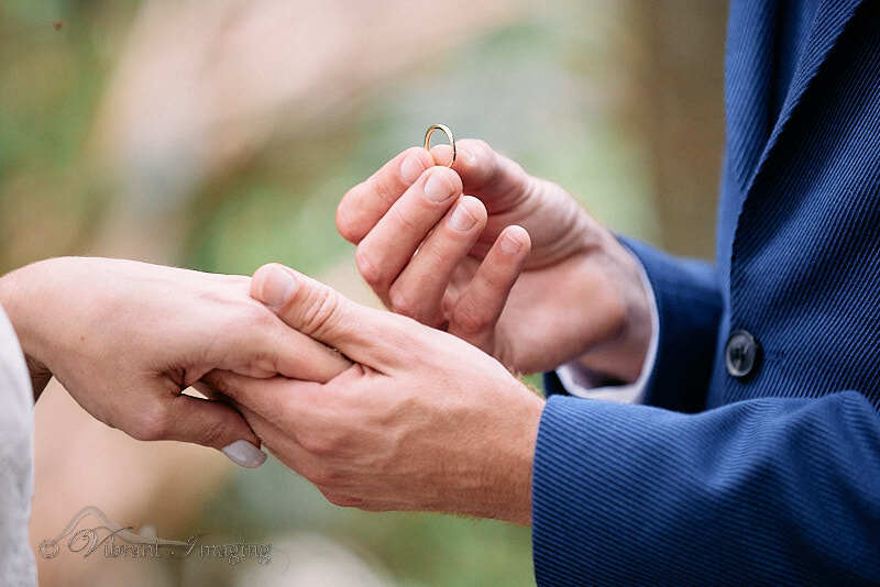 Vibrant Imaging Portraits and Weddings