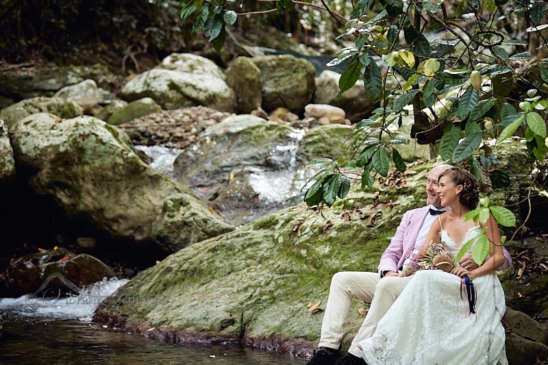 Vibrant Imaging Portraits and Weddings