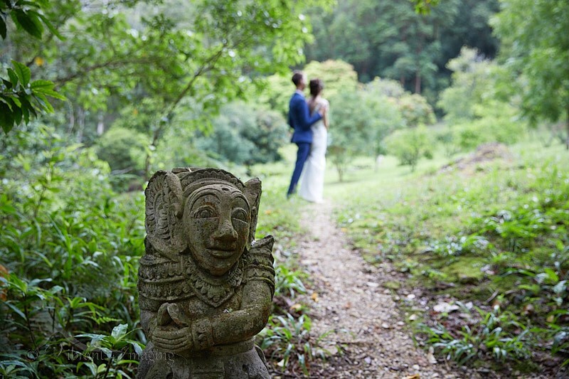 Vibrant Imaging Portraits and Weddings