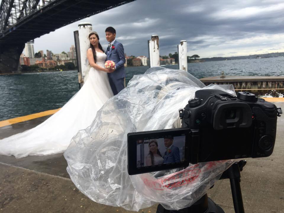 Circle of Life Pictures