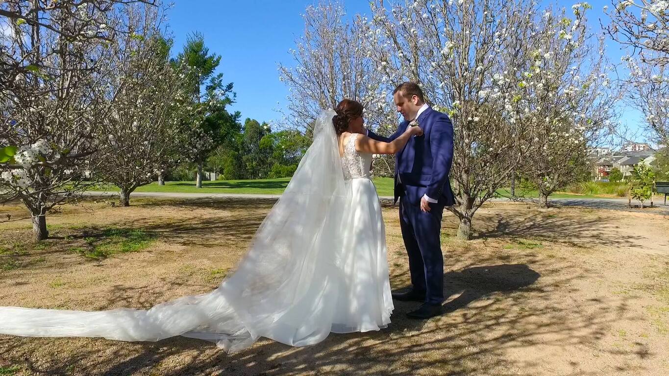 Circle of Life Pictures