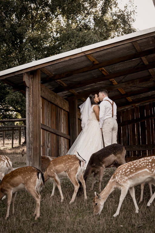 Amber Williams Photography