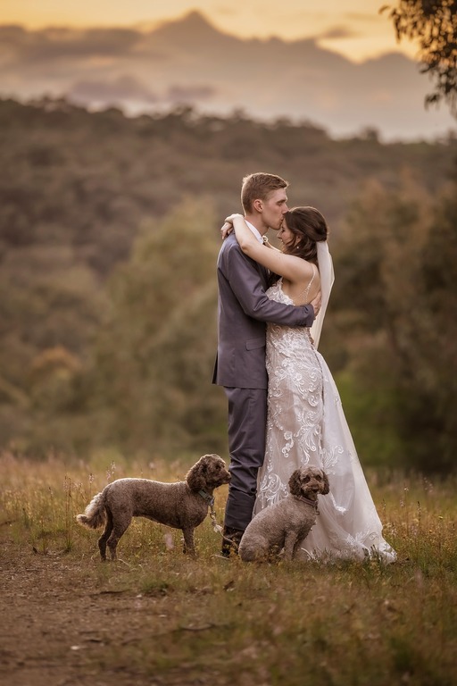 Amber Williams Photography