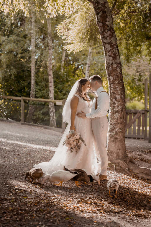 Amber Williams Photography