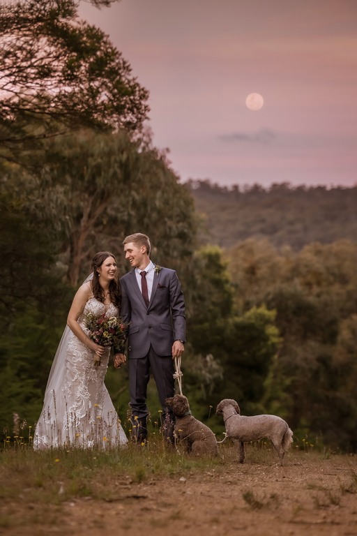 Amber Williams Photography