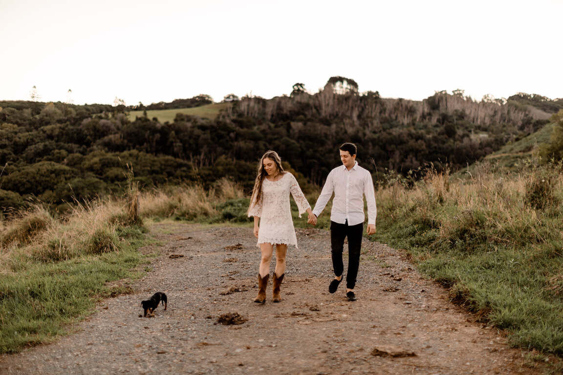 Fiddle Leaf Photography