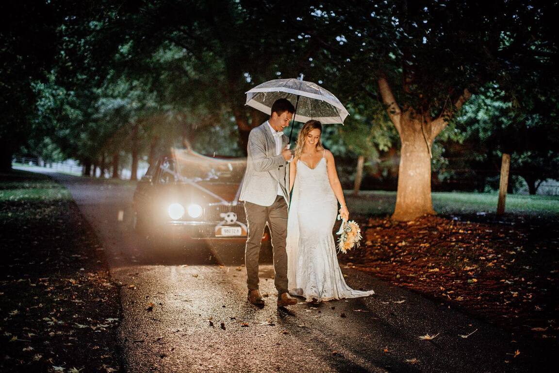 Fiddle Leaf Photography