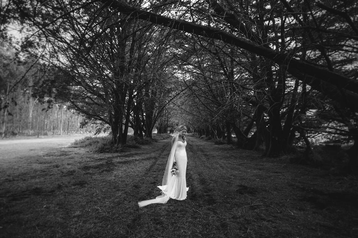 ChristopherRobert Photography