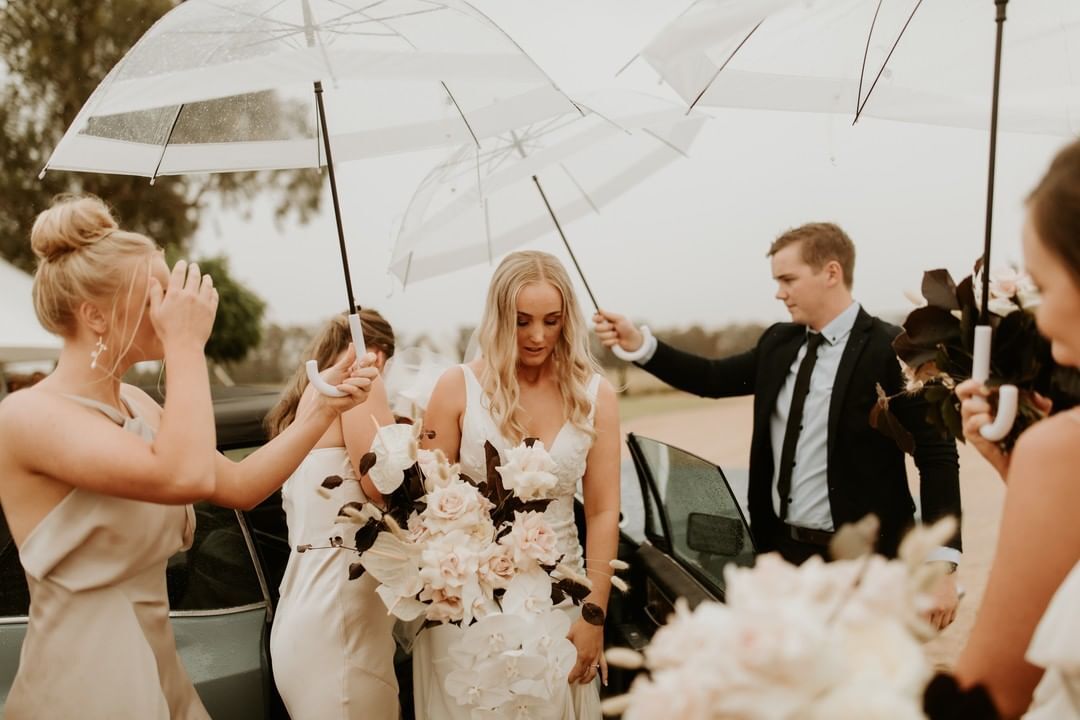 Lisa Nardella Photography