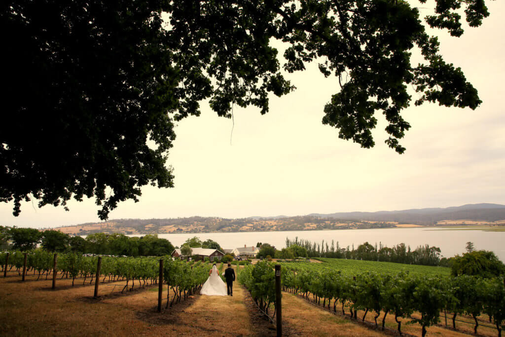 Linda Pasfield Photography