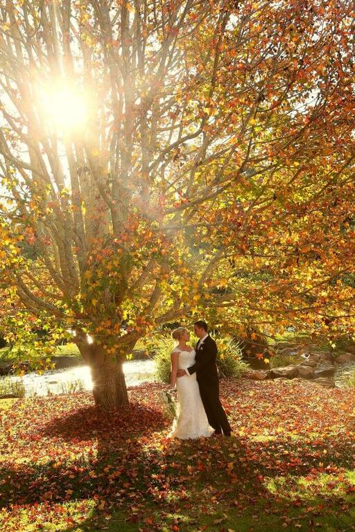 Linda Pasfield Photography