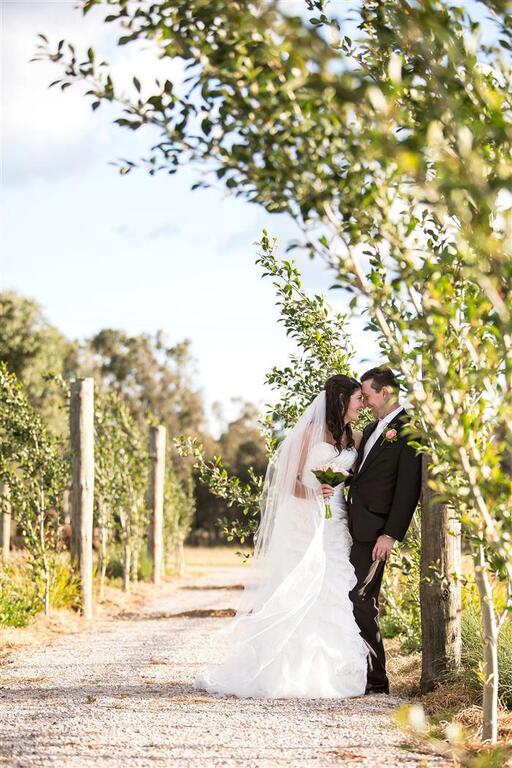 Mark James Photography