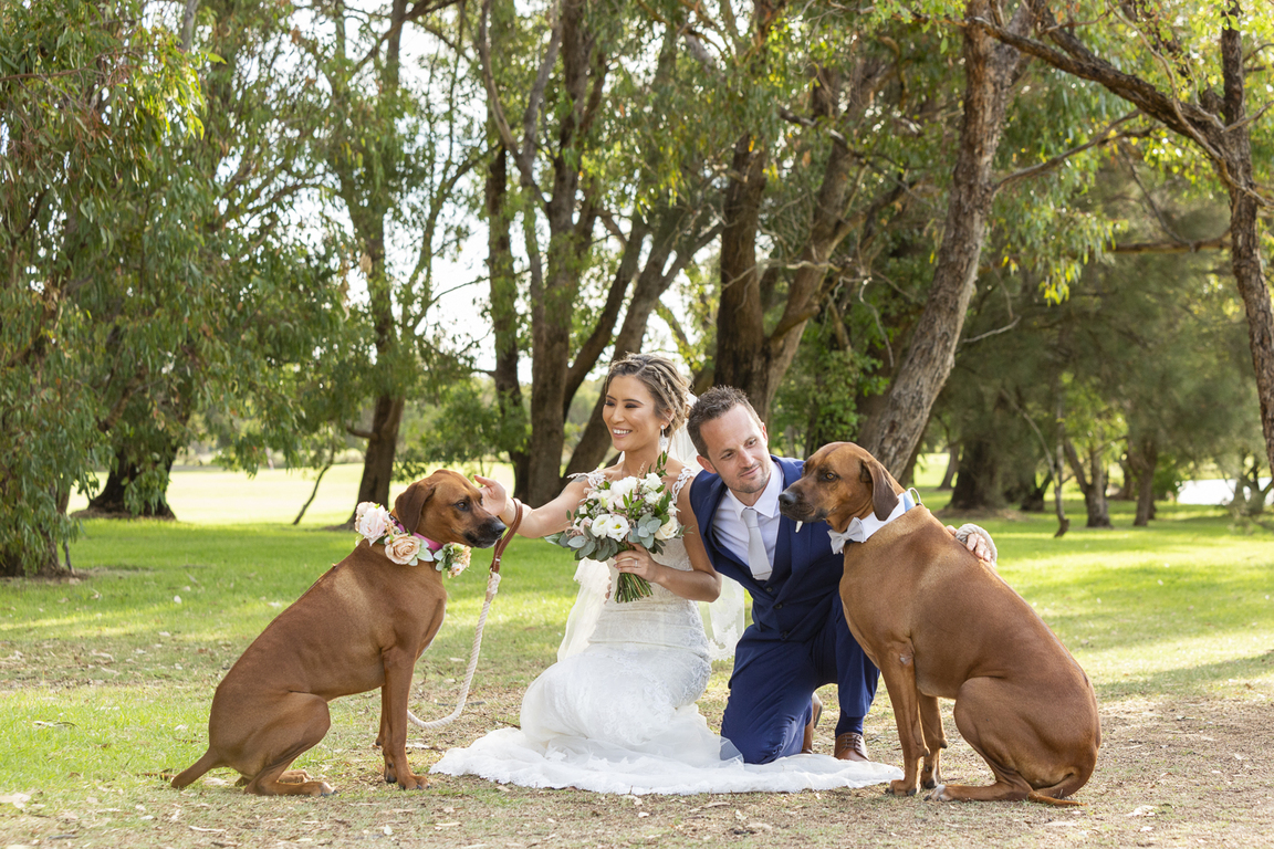 The Photography Boutique