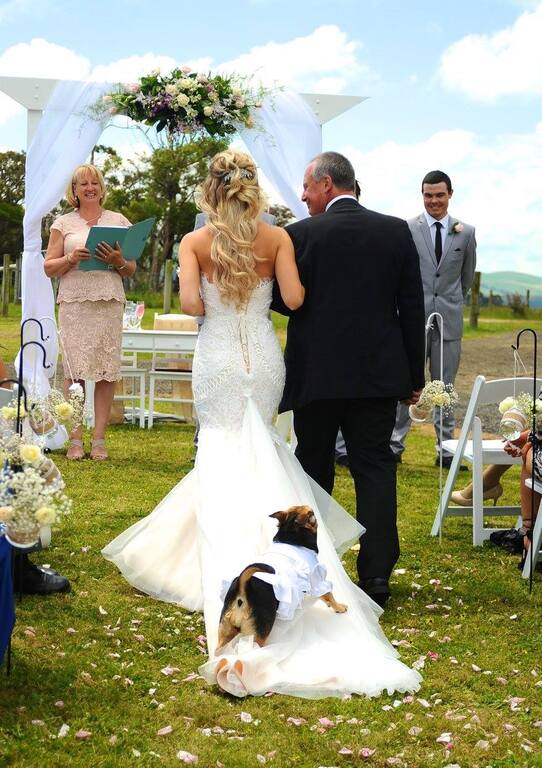 Lisa Angus Photography