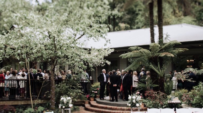 Lyrebird Falls Receptions