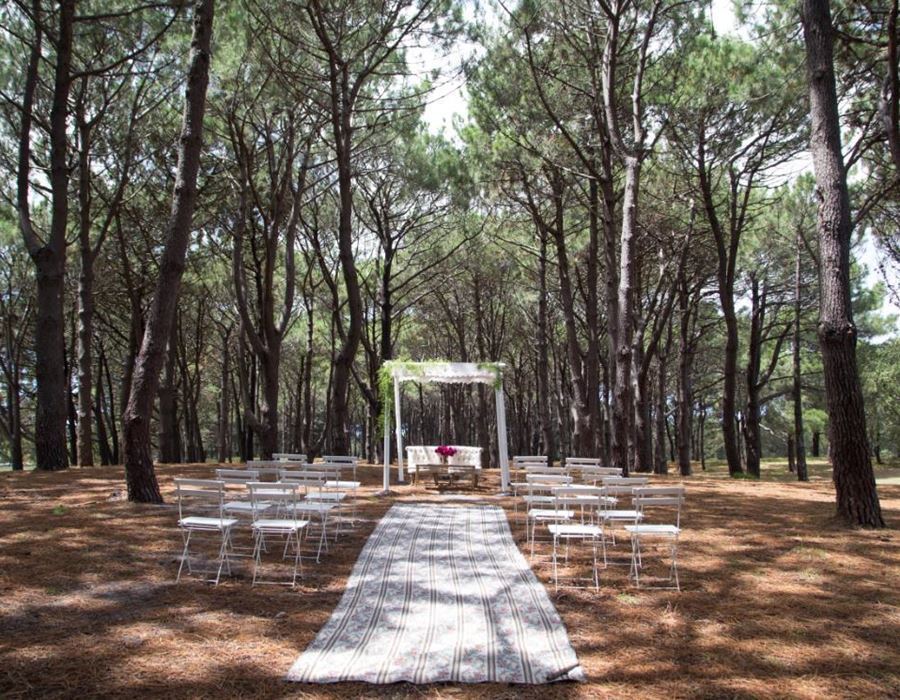 Centennial Parklands