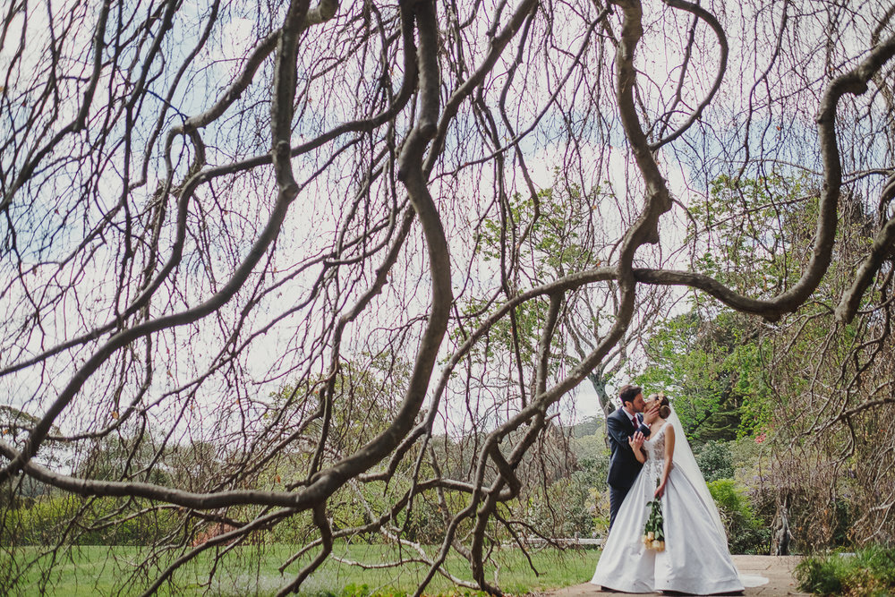 Cloudface Photography