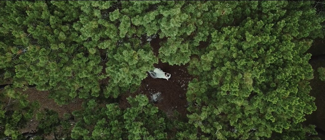 Paper Cranes Productions