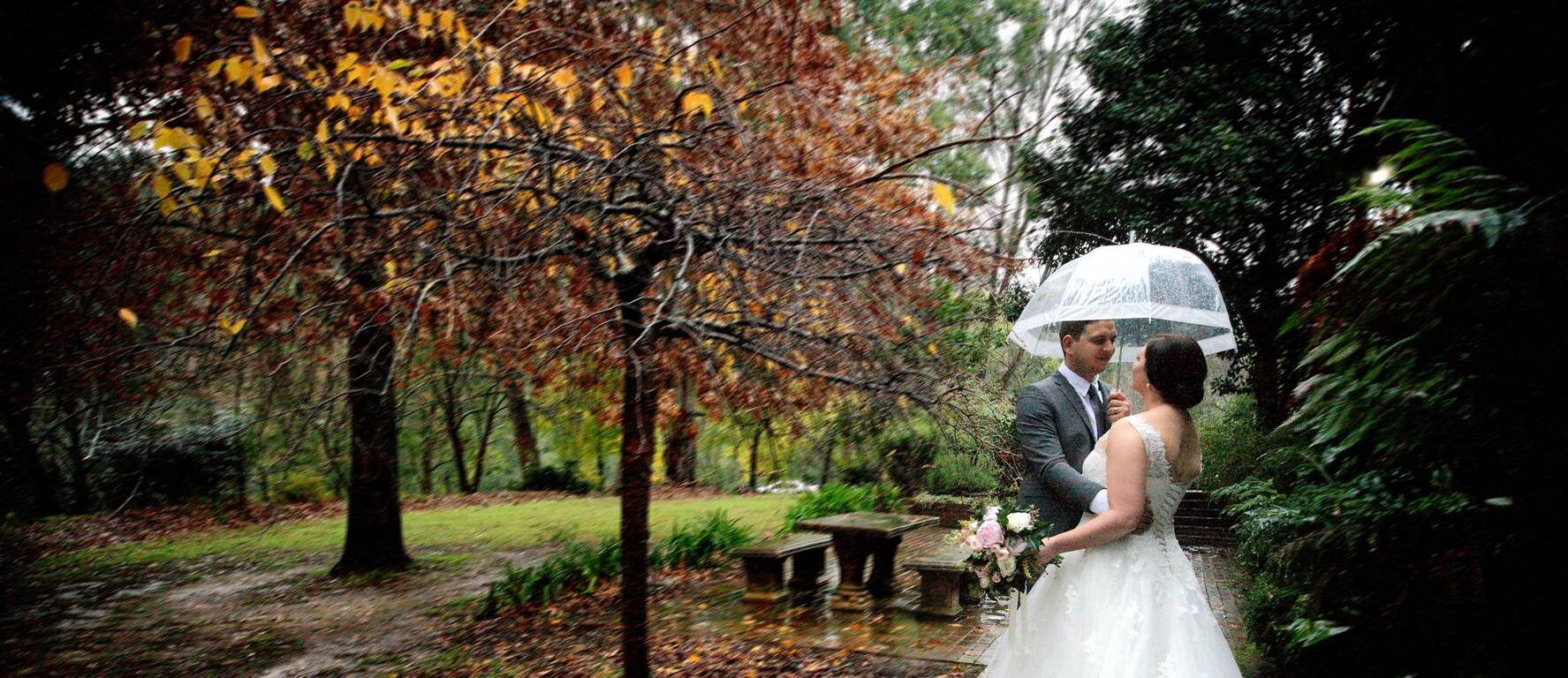 Connie Lamanna Photography