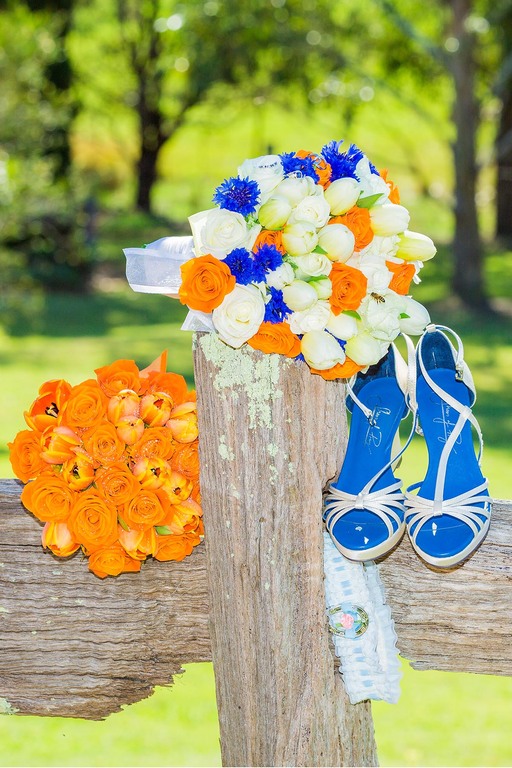 Robert Hayson Photography