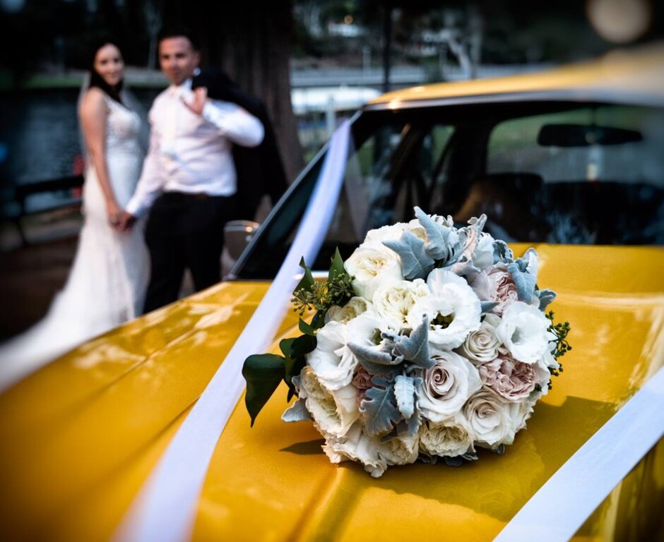 AVI Digital Photography and Video