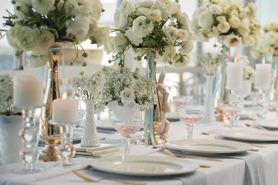 Acqua Viva On The Swan