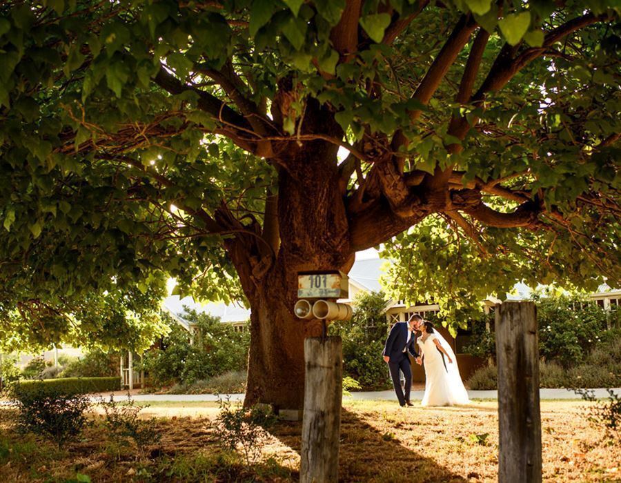 Sittella Winery & Restaurant