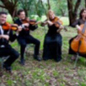 Black Tie Group DJ Karaoke and Live Band