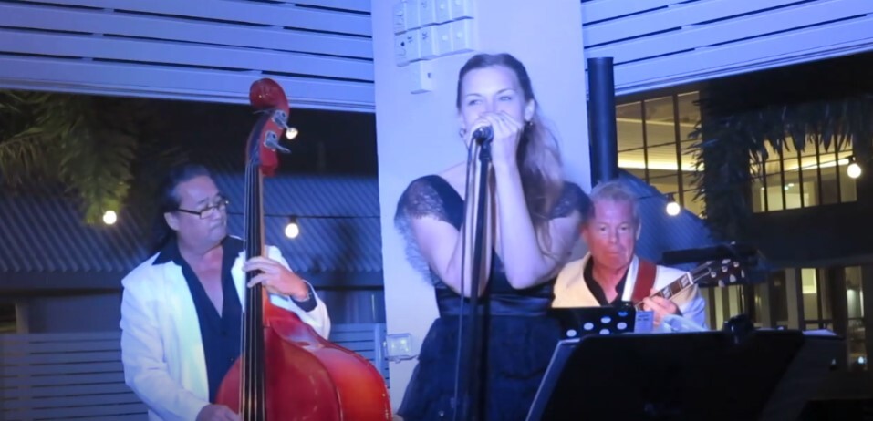 ANDREA Live Music Singer Duo and Dj