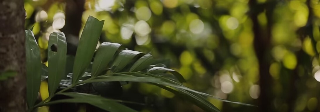 DJ Bart's Electric Dreams Entertainment