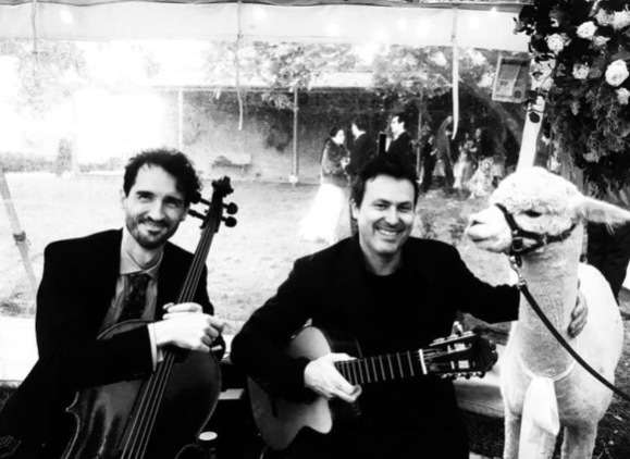 Gavin Libotte Guitar