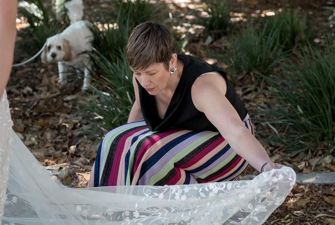 Celebrations by Penelope