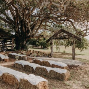 Elegant Event Management