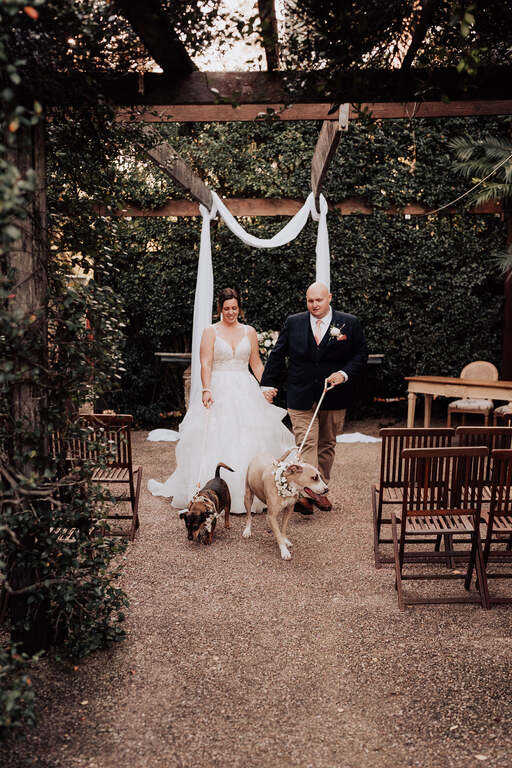 First Class Pet Wedding Assistants