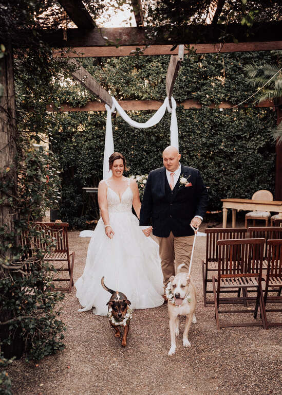 First Class Pet Wedding Assistants