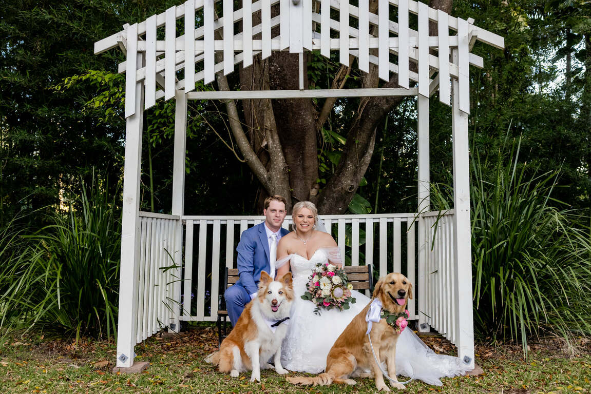 First Class Pet Wedding Assistants
