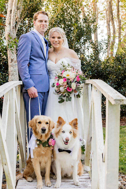 First Class Pet Wedding Assistants