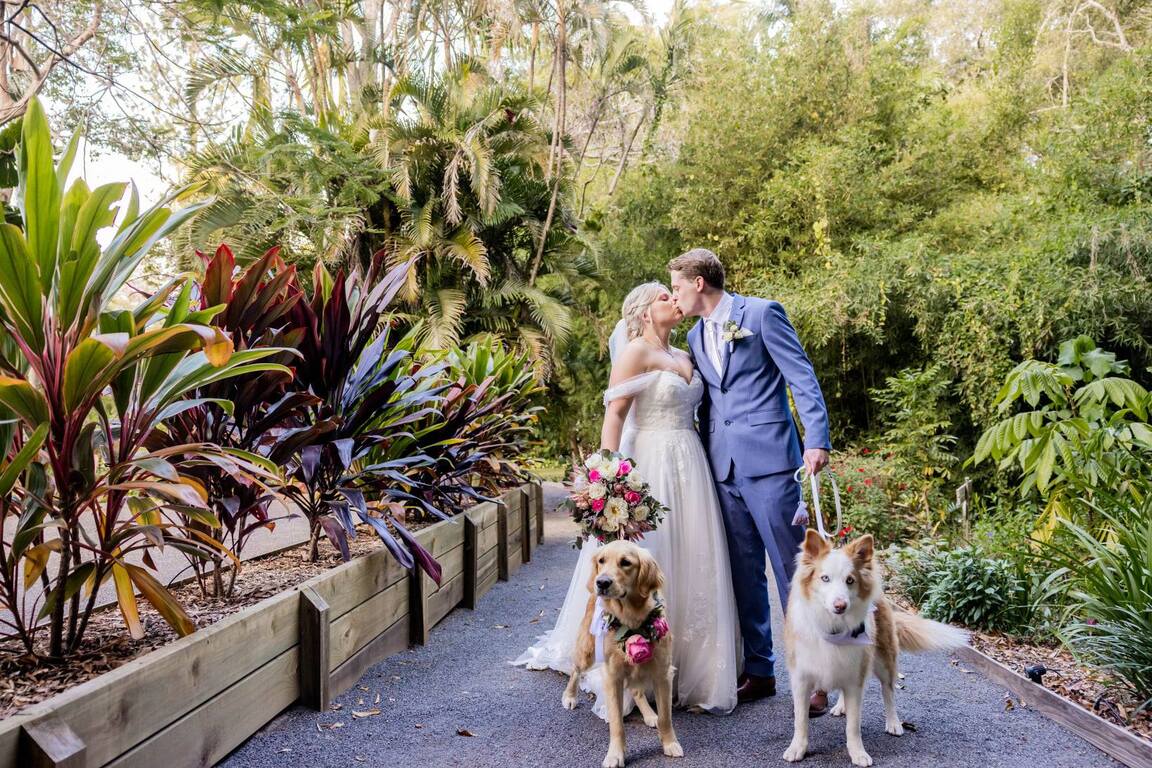 First Class Pet Wedding Assistants