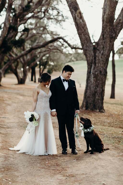 First Class Pet Wedding Assistants