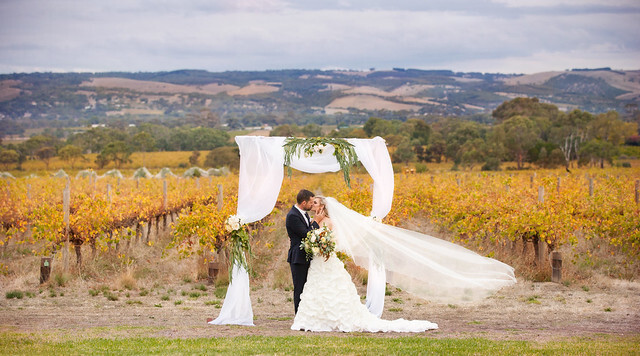 Ekhidna Wines