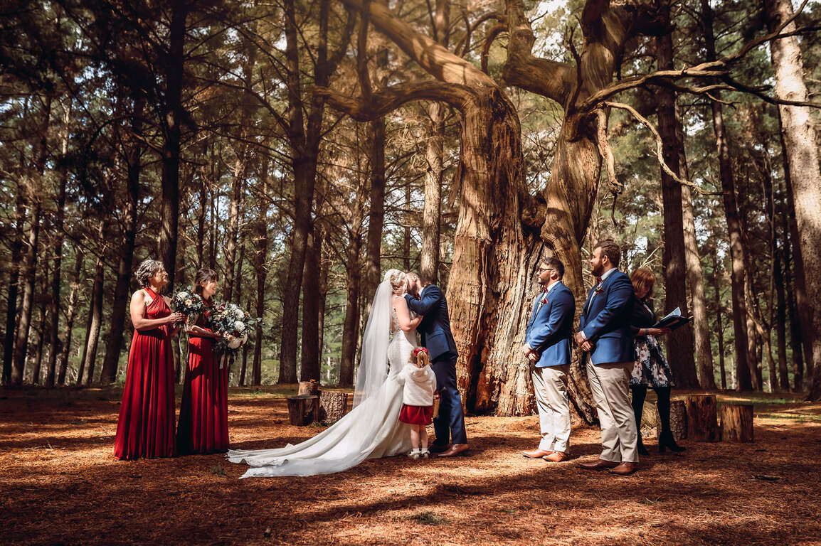 Mary Fieldhouse - Marriage Celebrant