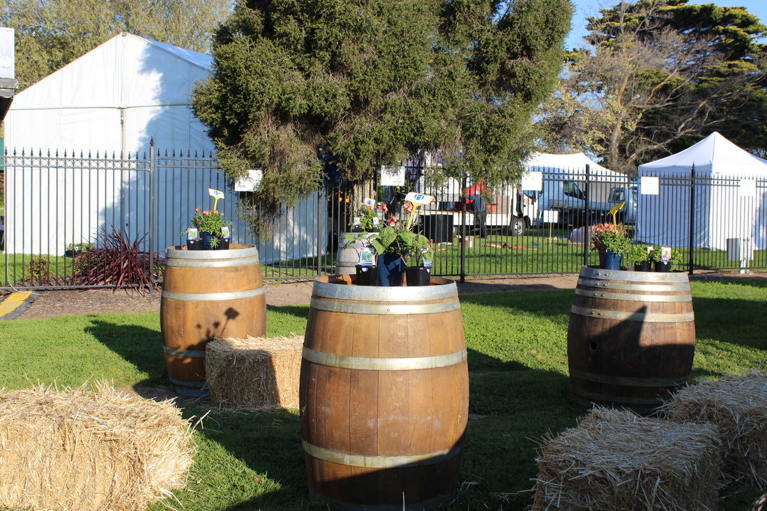 hay-day-events-decoration-melbourne-weddinghero-au
