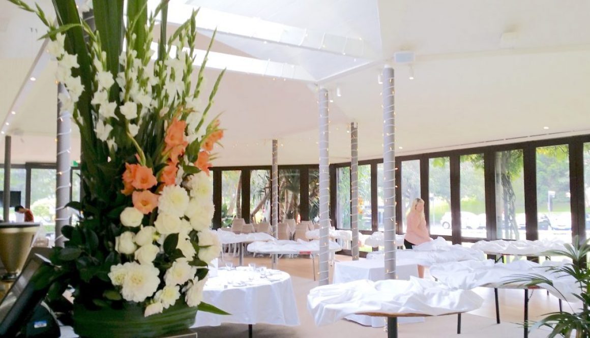 Fairylight Curtains and Ceiling Drapery