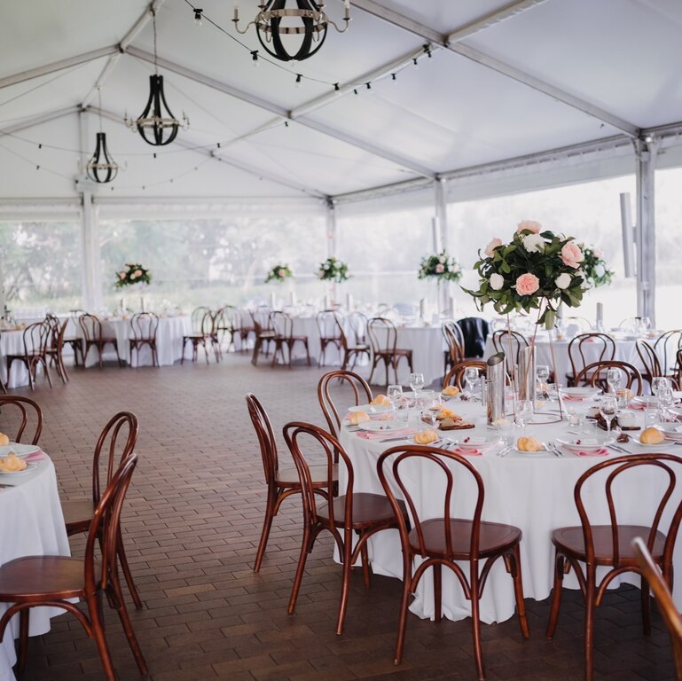 Absolutely Fabulous Chair Covers