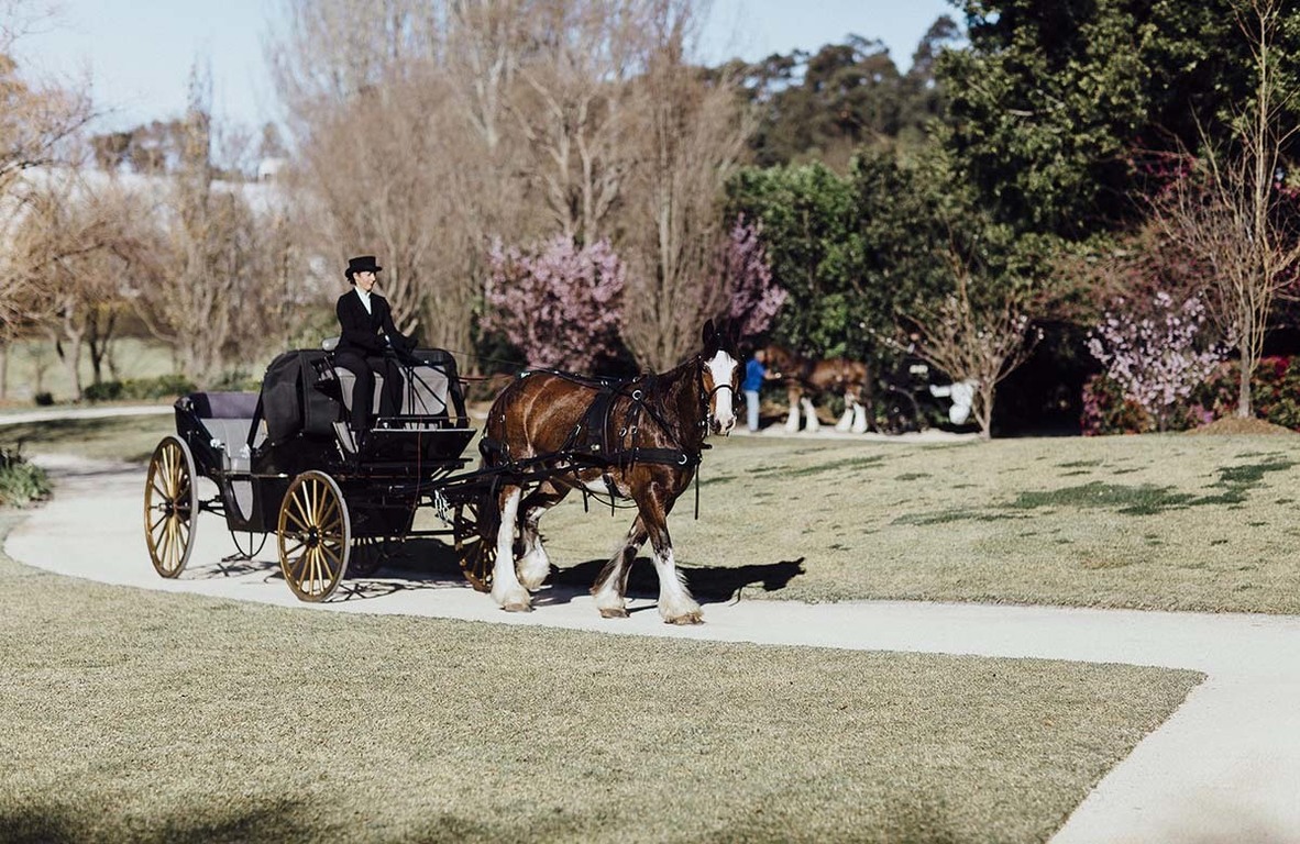 Hunter Valley Gardens