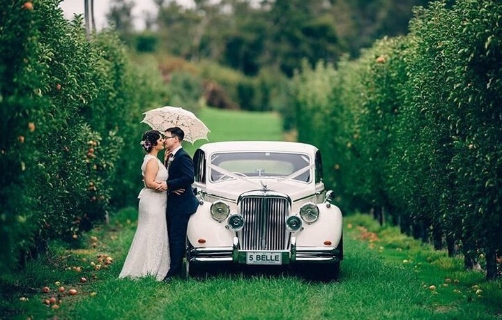 Orchards at Spring Vale Farm