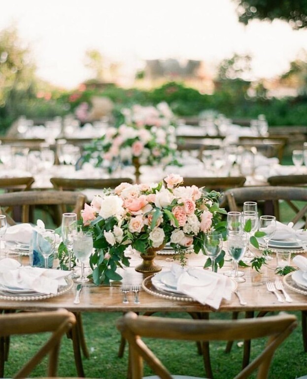 Orchards at Spring Vale Farm