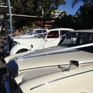 Macarthur Weddings and Events