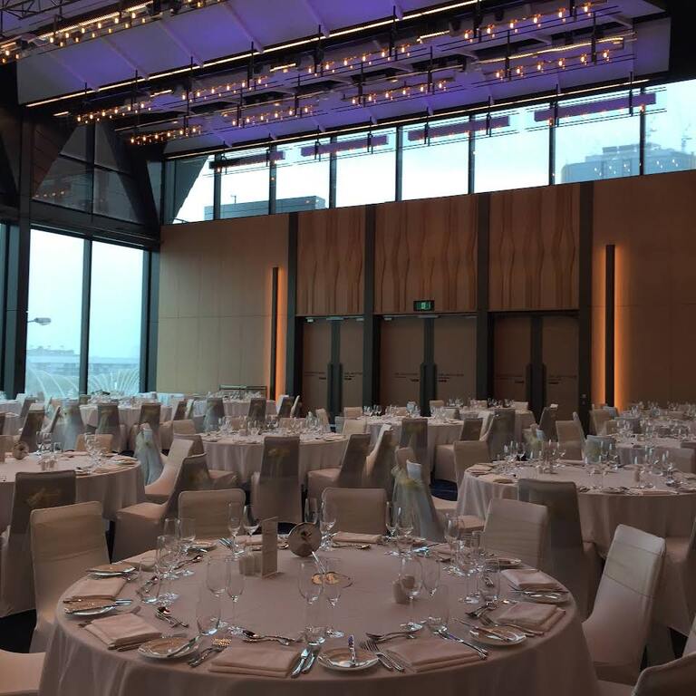 Special Event Chair Covers