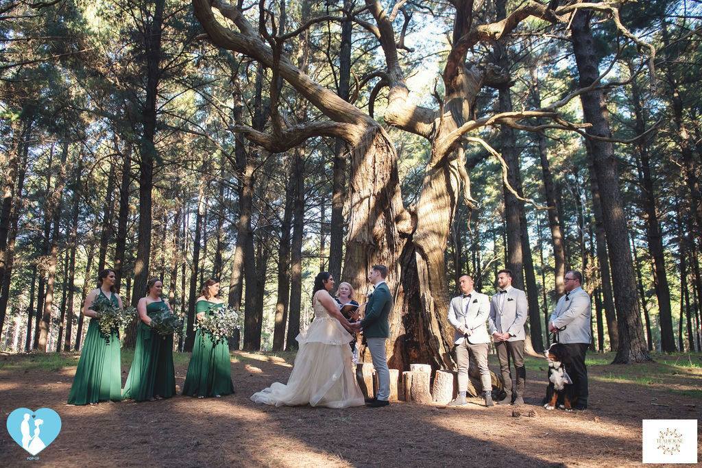 Celebrations of Love - Kathy Speake